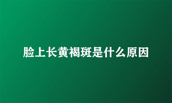 脸上长黄褐斑是什么原因