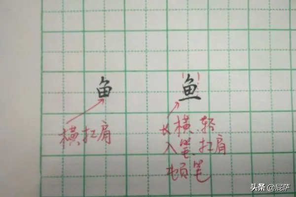 鱼的笔顺和书写方法?