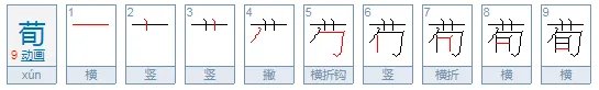 荀怎么读？