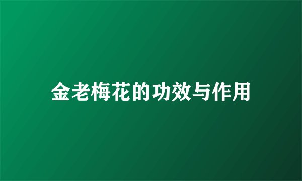金老梅花的功效与作用